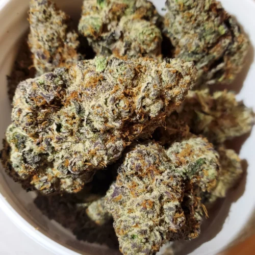 Bubba Kings, Bubba Gump Indica