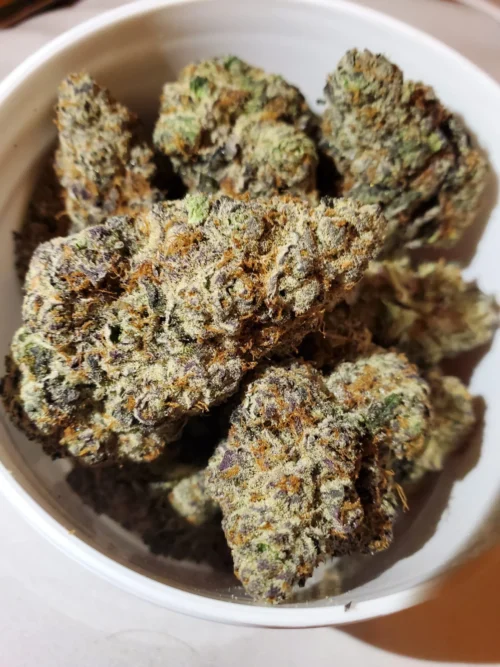 Bubba Kings, Bubba Gump Indica